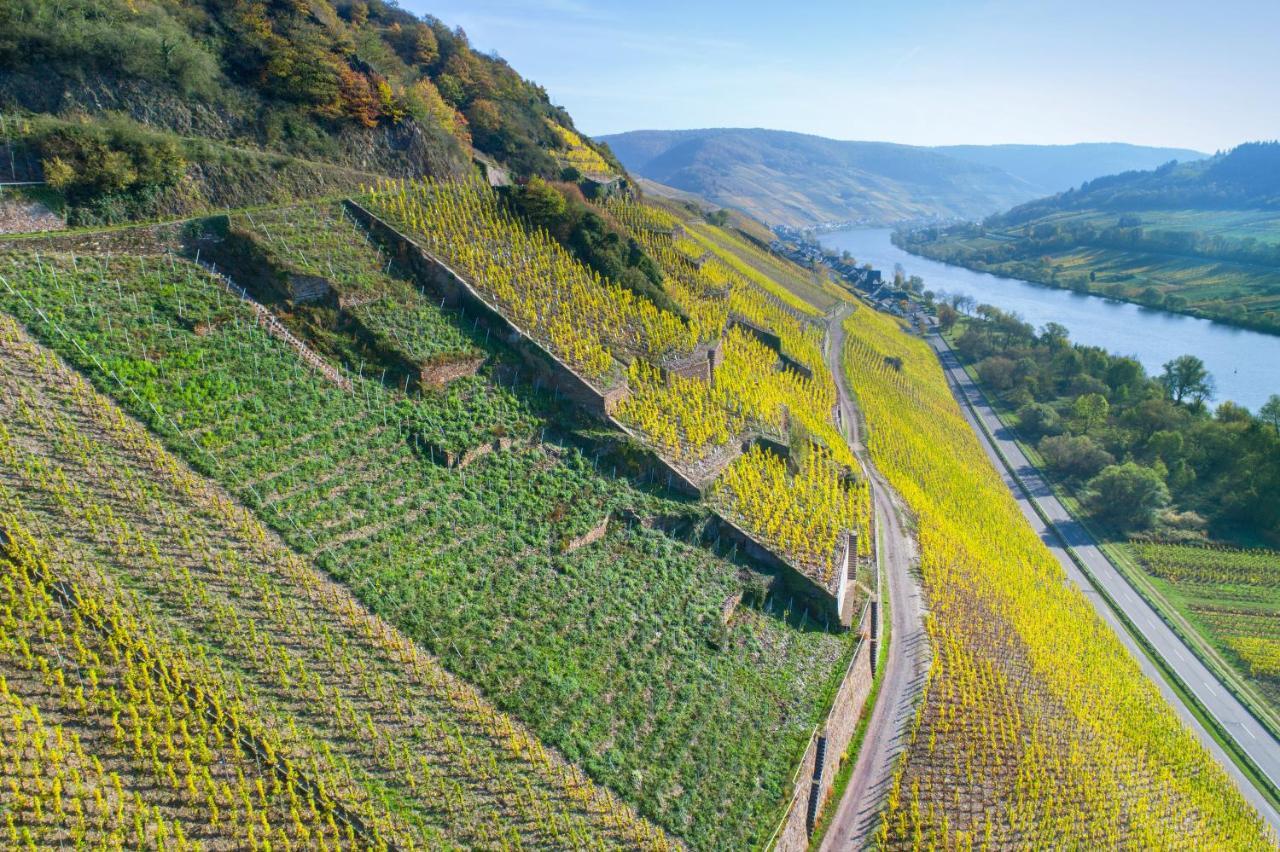 Das Haus In Spay An Der Mosel Mit Sauna ツェル・アン・デル・モーゼル エクステリア 写真